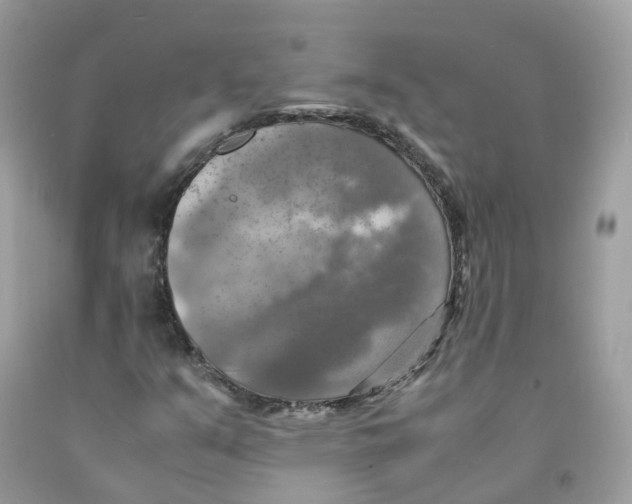 X0000091541351200709141447