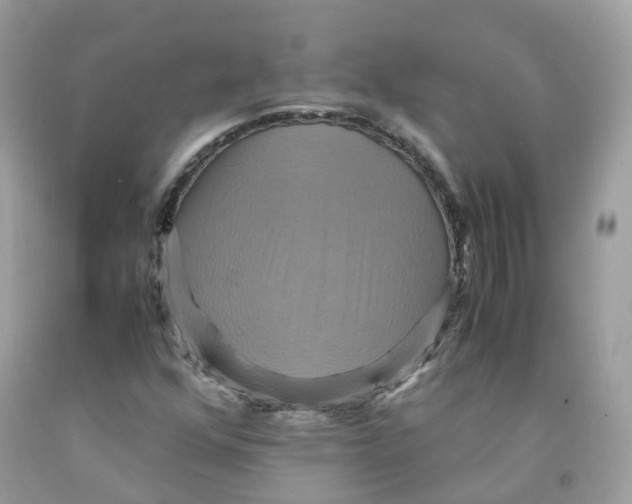 X0000091541352200709141447