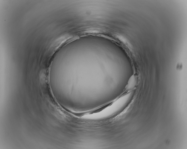 X0000091541353200709141447