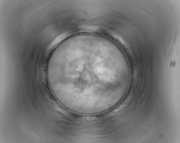 X0000091541354200709141447