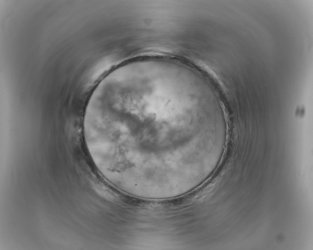 X0000091541355200709141447