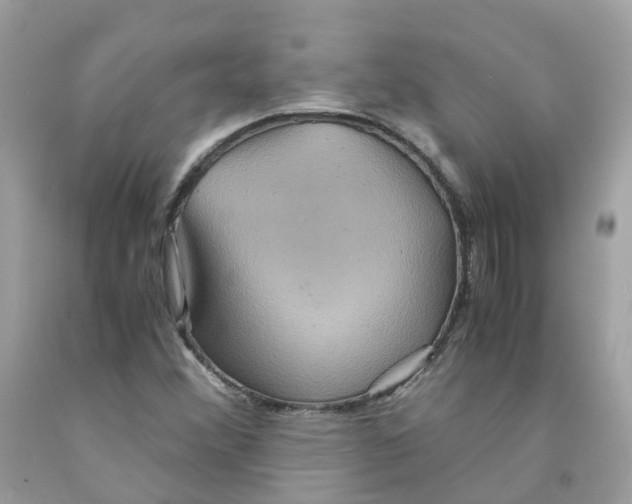 X0000091541356200709141447