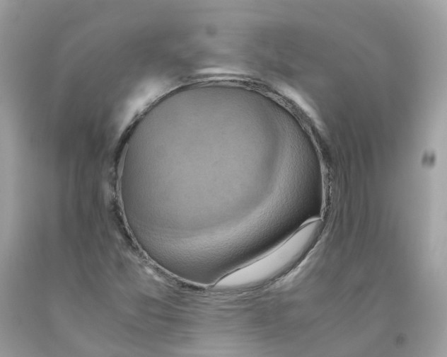 X0000091541357200709141447