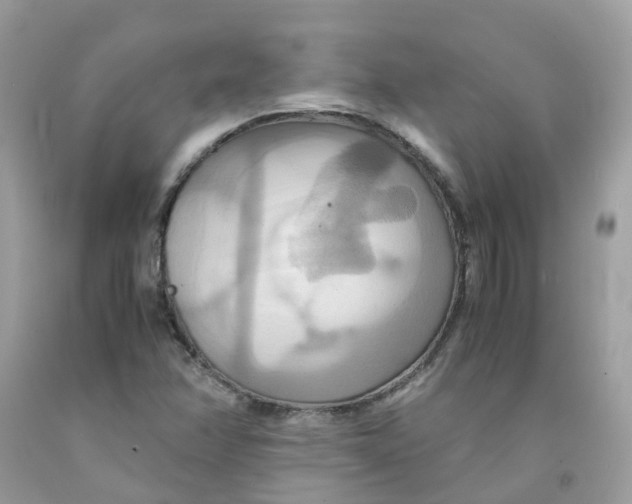 X0000091541358200709141447