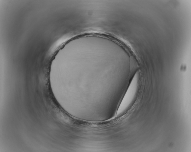 X0000091541359200709141447