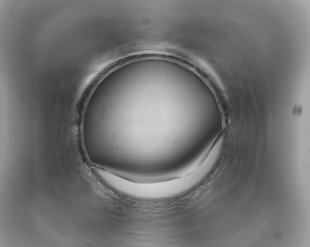 X0000091541360200709141447