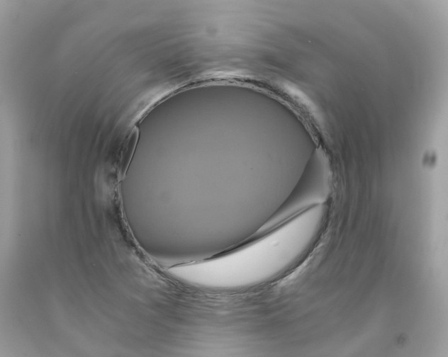 X0000091541361200709141447