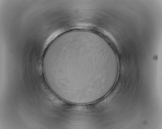 X0000091541362200709141447