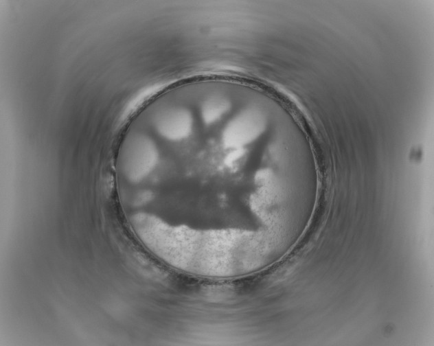 X0000091541363200709141447