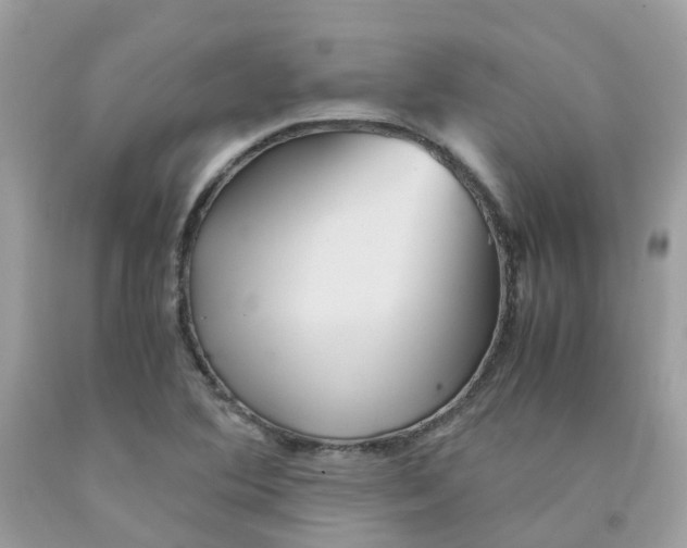 X0000091541364200709141447