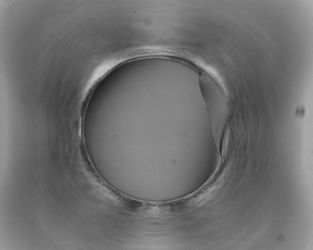 X0000091541365200709141447