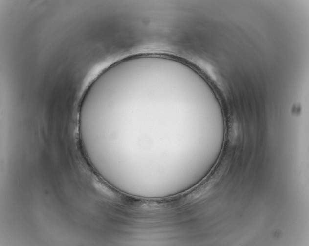 X0000091541366200709141447