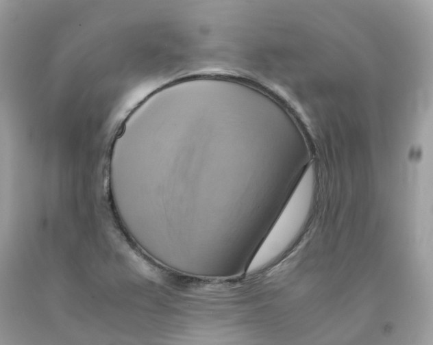 X0000091541367200709141447