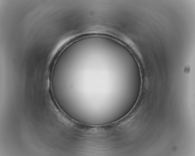 X0000091541368200709141447