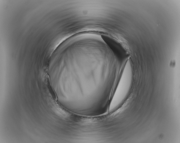 X0000091541369200709141447