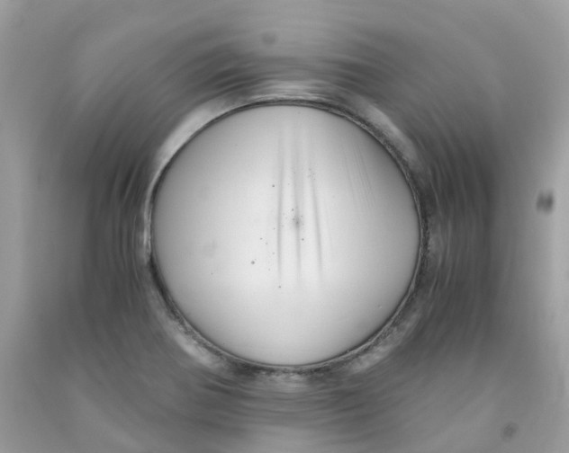 X0000091541370200709141447