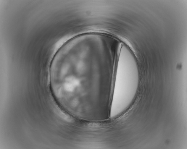 X0000091541371200709141447