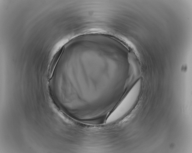 X0000091541373200709141447