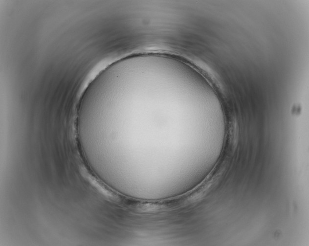 X0000091541374200709141447