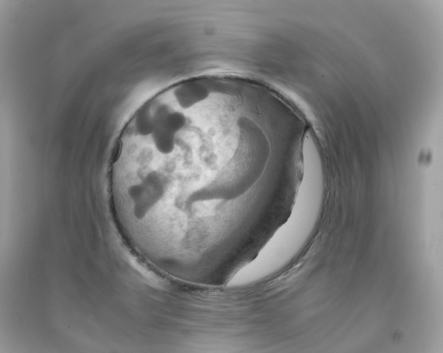 X0000091541375200709141447