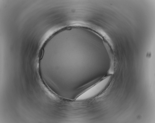 X0000091541376200709141447