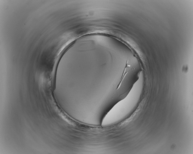 X0000091541377200709141447