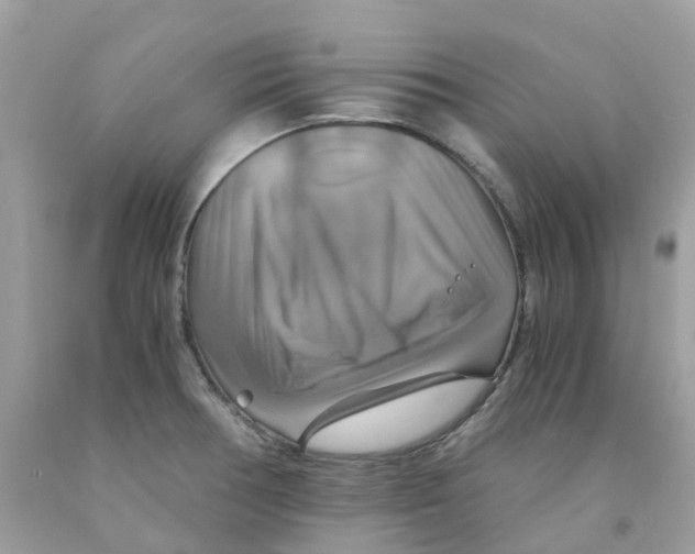 X0000091541378200709141447