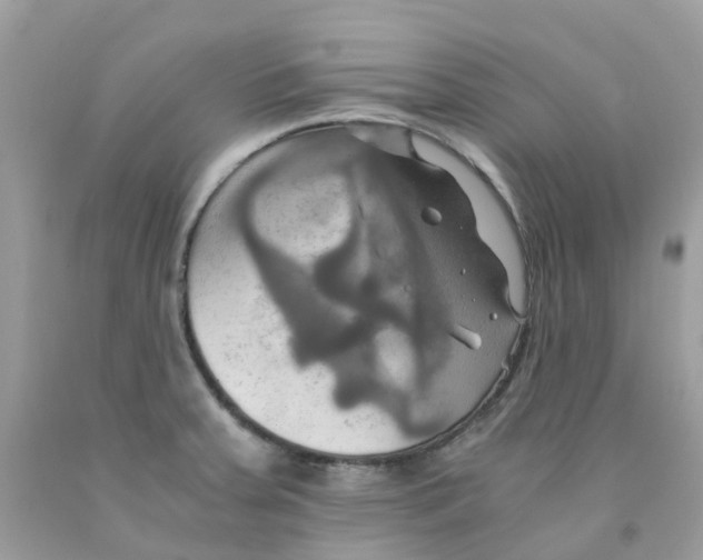 X0000091541379200709141447