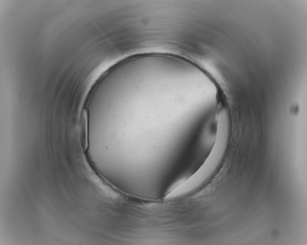 X0000091541380200709141447