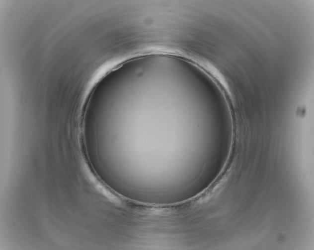 X0000091541381200709141447