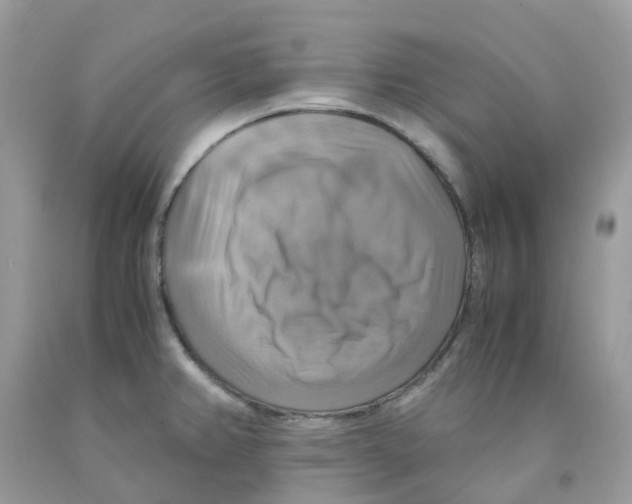 X0000091541382200709141447