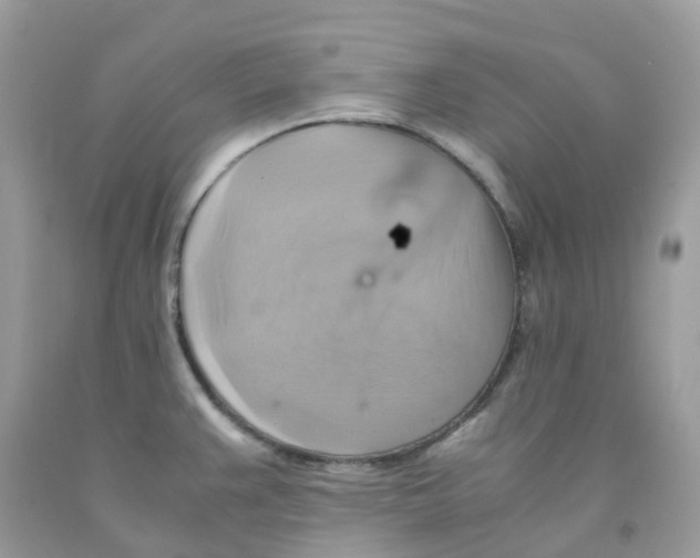 X0000091541383200709141447