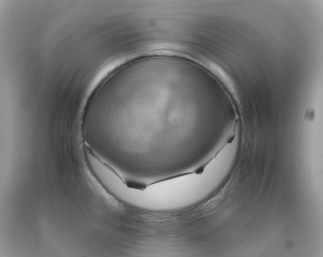 X0000091541384200709141447