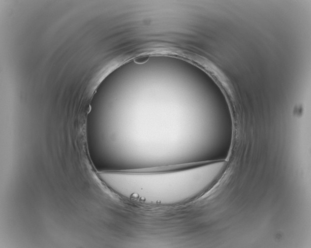 X0000091541385200709141447