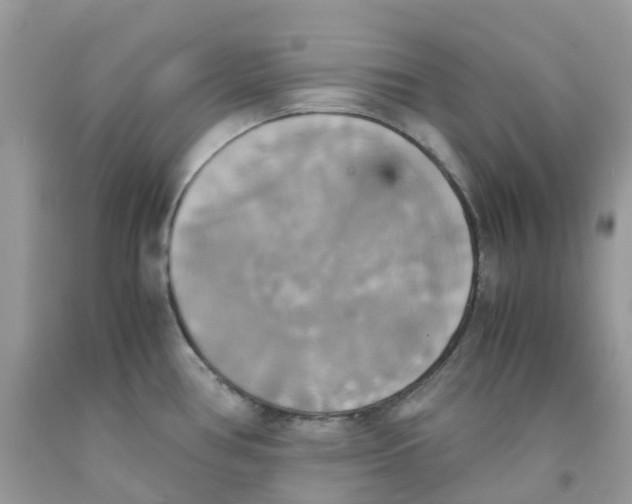 X0000091541386200709141447