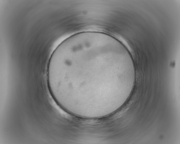 X0000091541387200709141447