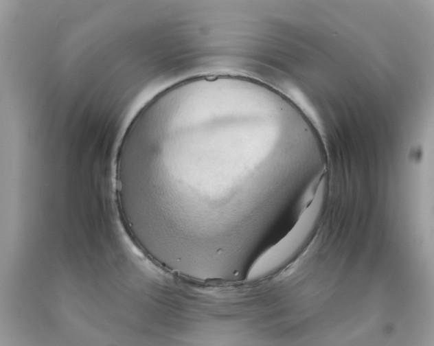 X0000091541388200709141447