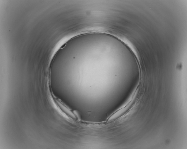 X0000091541389200709141447