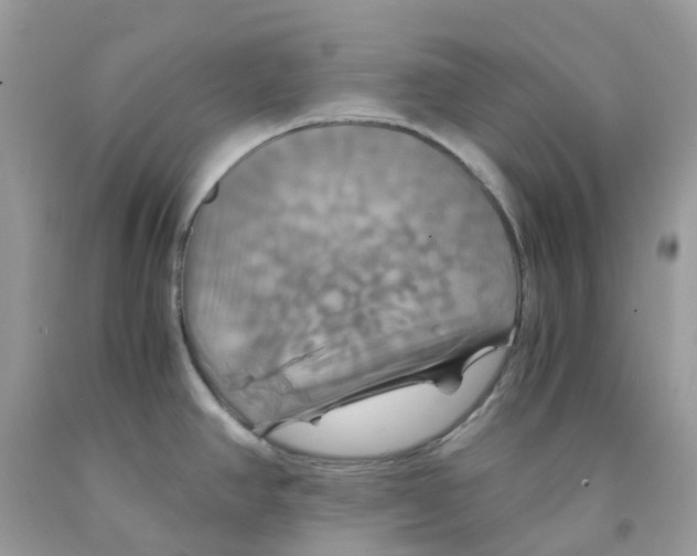 X0000091541390200709141447