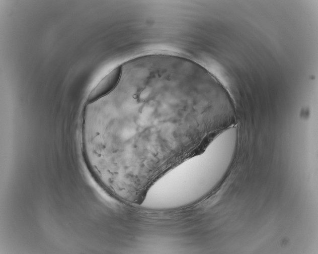 X0000091541391200709141447