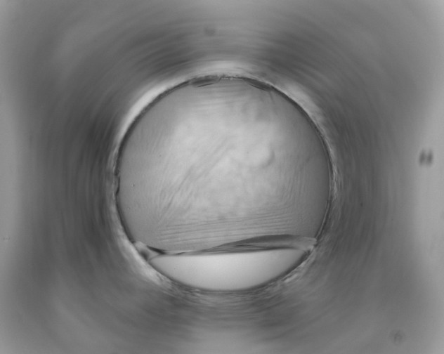 X0000091541392200709141447