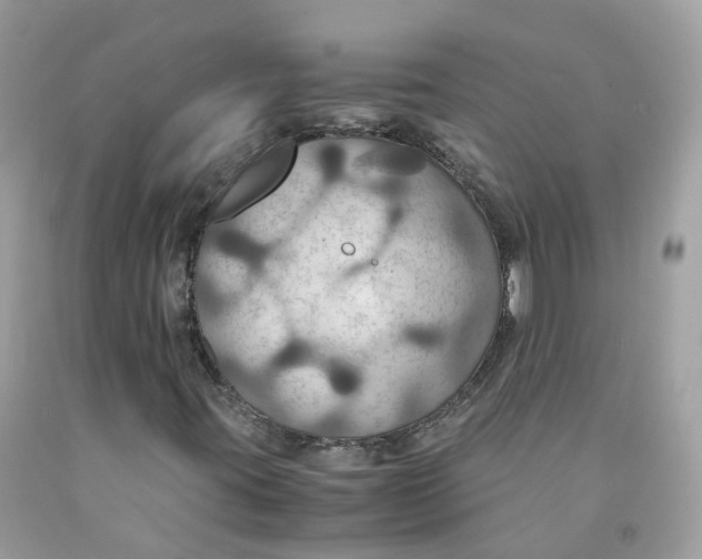 X0000091541395200709141446