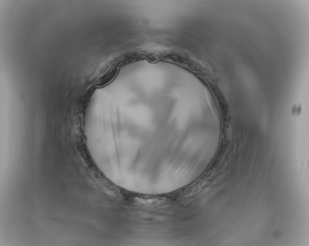 X0000091541397200709141446