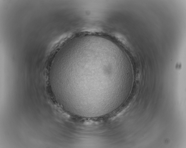 X0000091541398200709141446