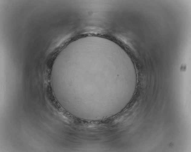 X0000091541399200709141446