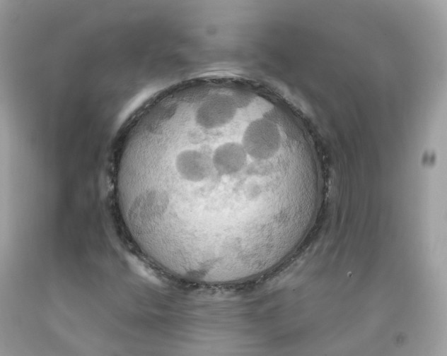 X0000091541400200709141446