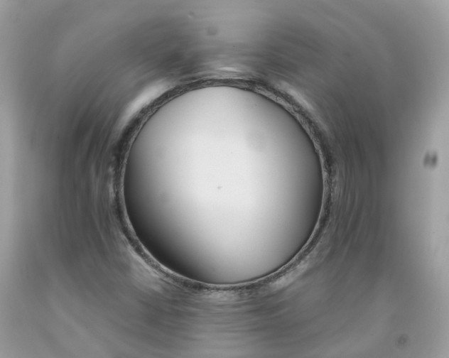 X0000091541402200709141446