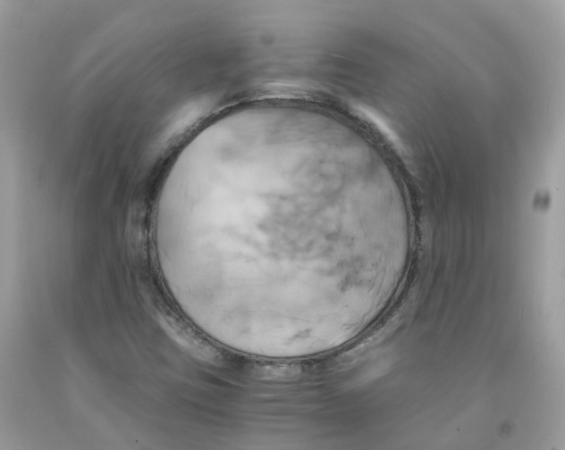 X0000091541403200709141446