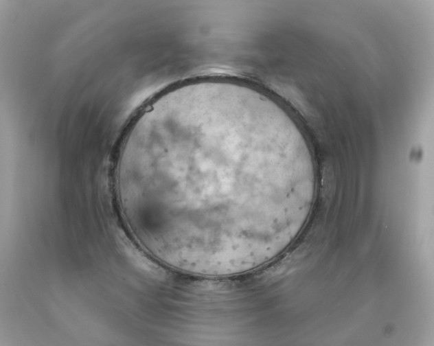 X0000091541404200709141446