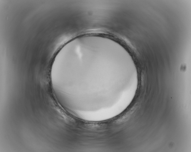 X0000091541405200709141446